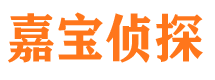 富拉尔基市侦探